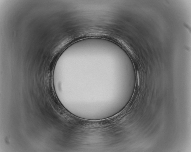 X0000099430675200805090727