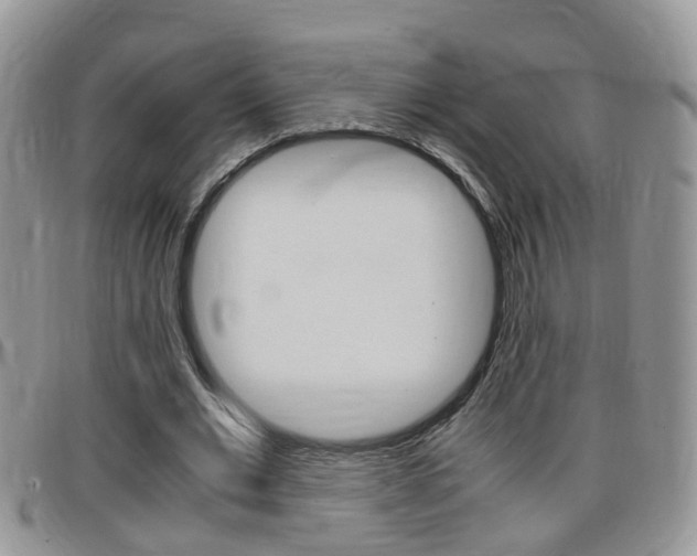 X0000099430677200805090727
