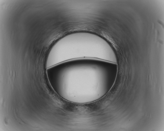 X0000099430681200805090727