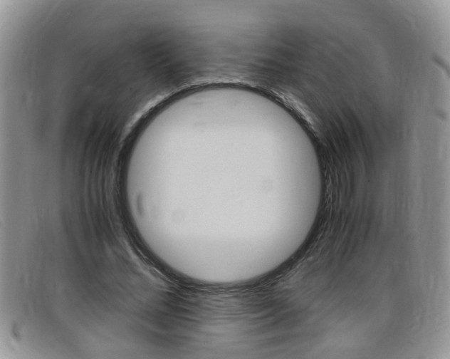 X0000099430684200805090727