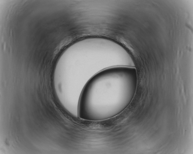 X0000099430685200805090727