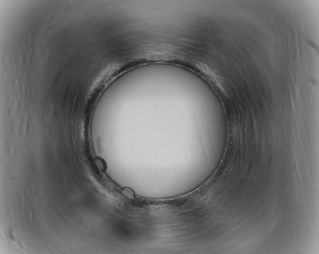 X0000099430686200805090727