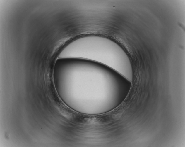 X0000099430688200805090727