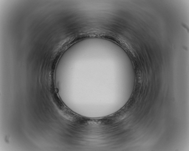 X0000099430690200805090727