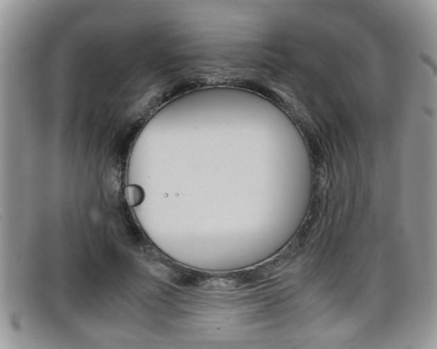 X0000099430691200805090727
