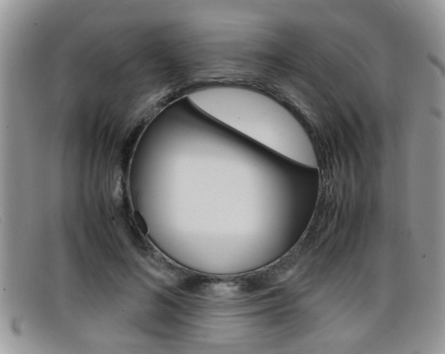 X0000099430692200805090727