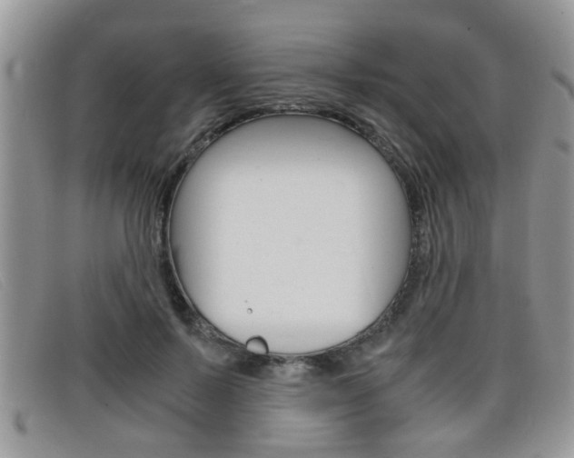 X0000099430695200805090727