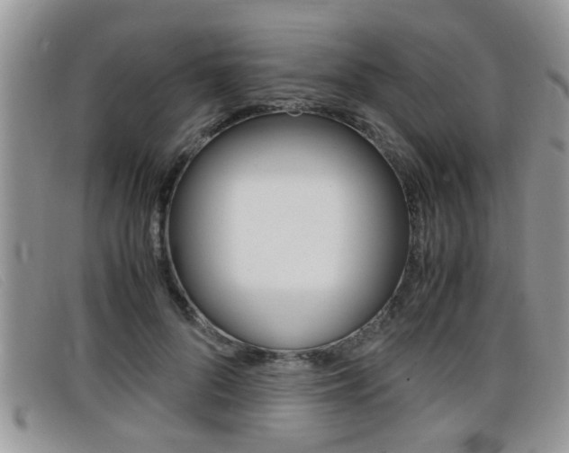 X0000099430696200805090727