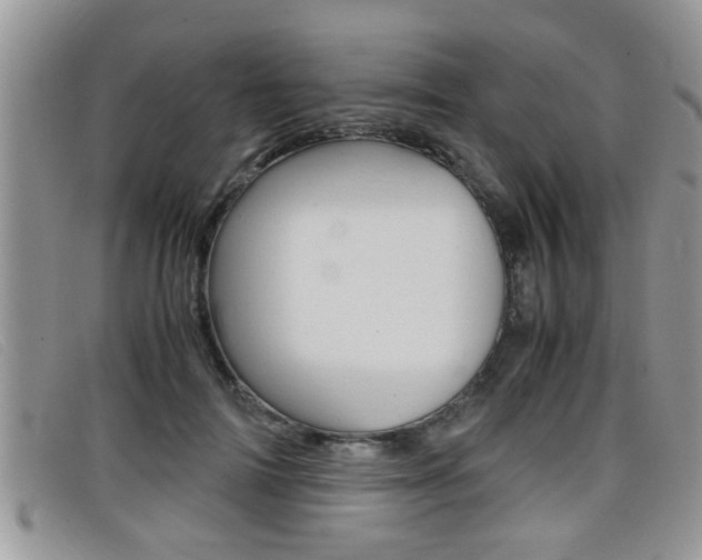 X0000099430698200805090727
