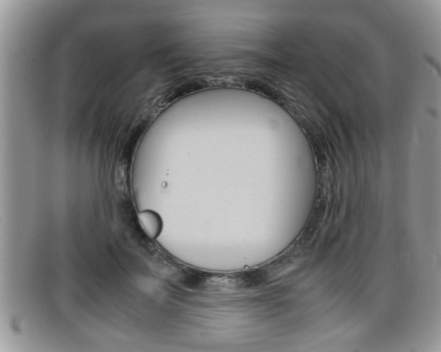 X0000099430699200805090727