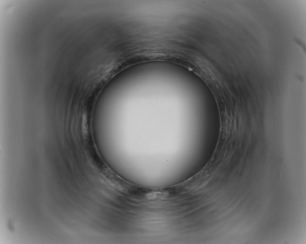 X0000099430700200805090727