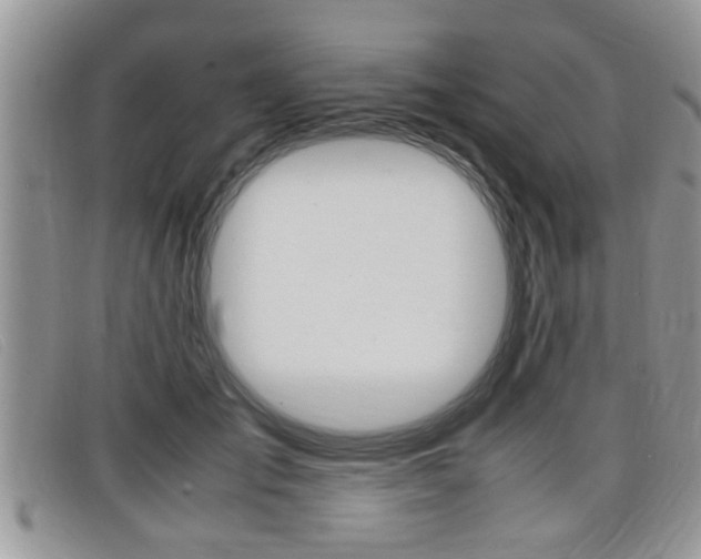 X0000099430701200805090727