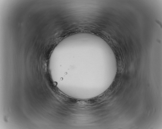 X0000099430703200805090727