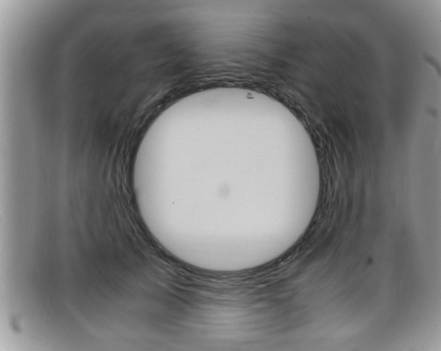 X0000099430705200805090727