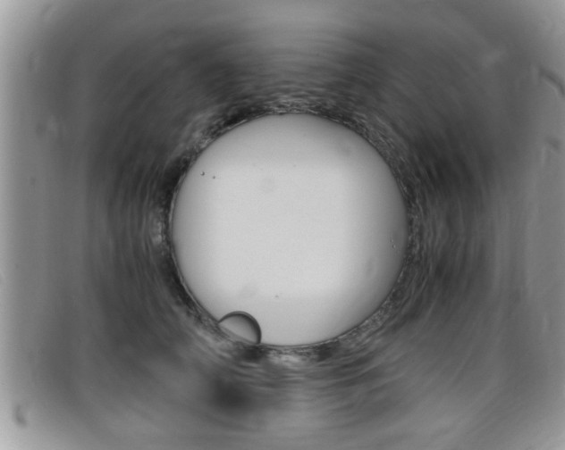 X0000099430706200805090727