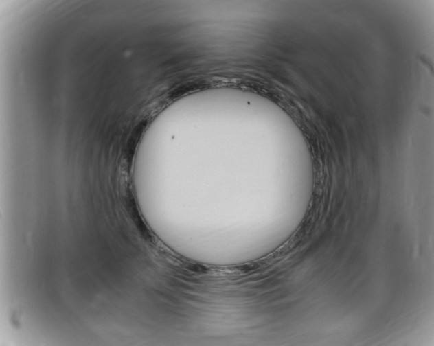 X0000099430707200805090727