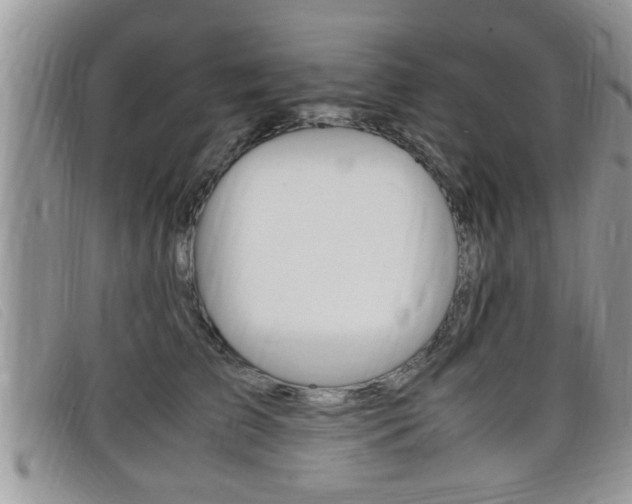 X0000099430709200805090727