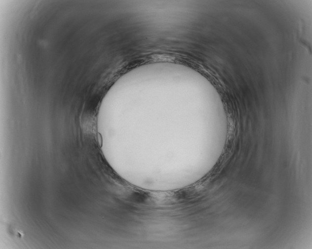 X0000099430713200805090727
