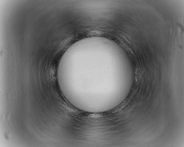 X0000099430714200805090727