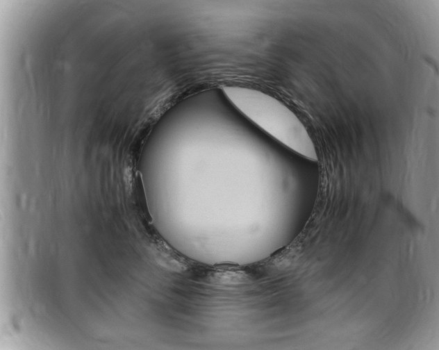 X0000099430716200805090727