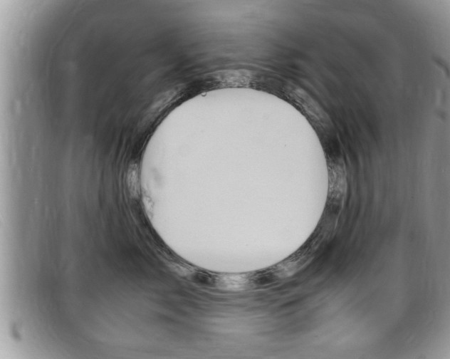 X0000099430717200805090727