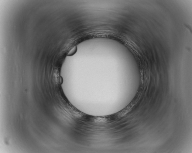 X0000099430718200805090727