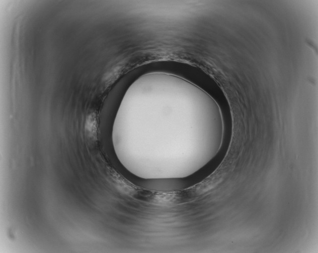 X0000099430720200805090726