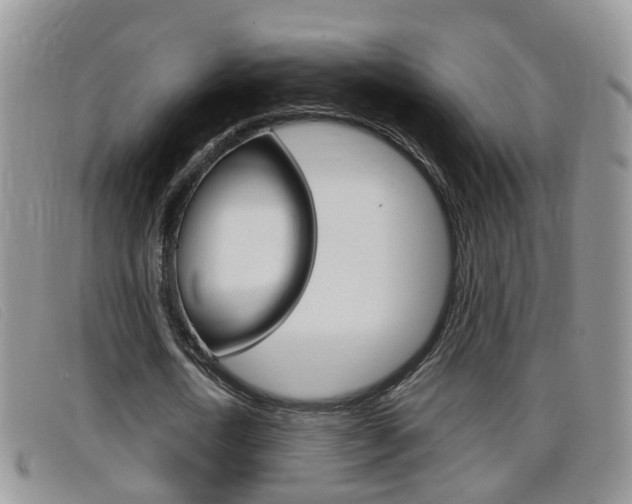 X0000099430722200805090726