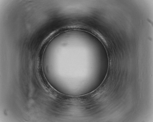 X0000099430724200805090726