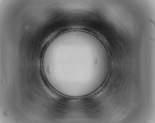X0000099430725200805090726