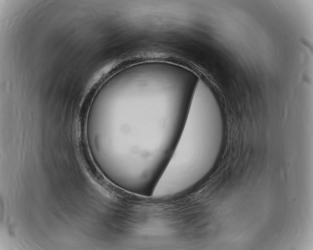 X0000099430726200805090726