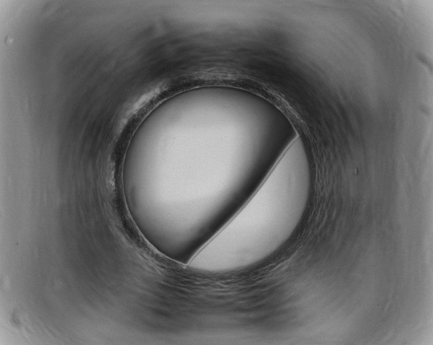 X0000099430727200805090726