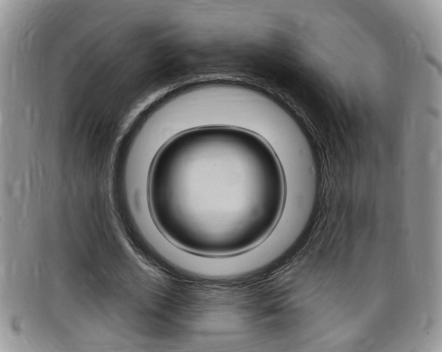 X0000099430728200805090726