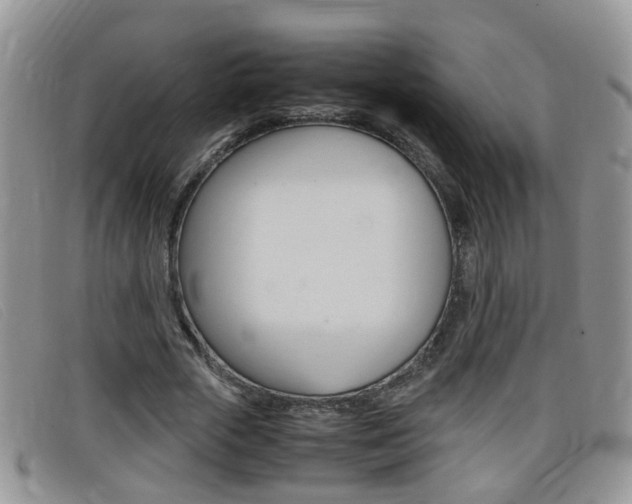 X0000099430729200805090726