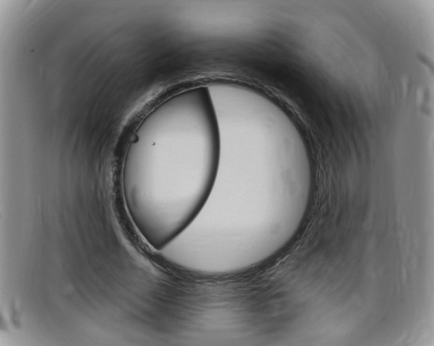 X0000099430730200805090726