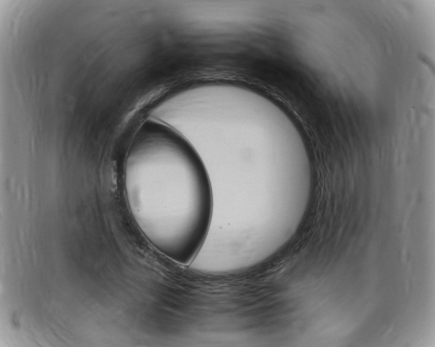 X0000099430731200805090726