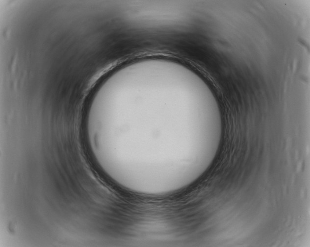 X0000099430732200805090726