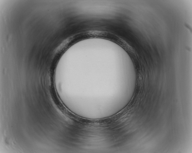 X0000099430734200805090726