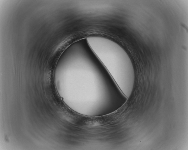 X0000099430735200805090726