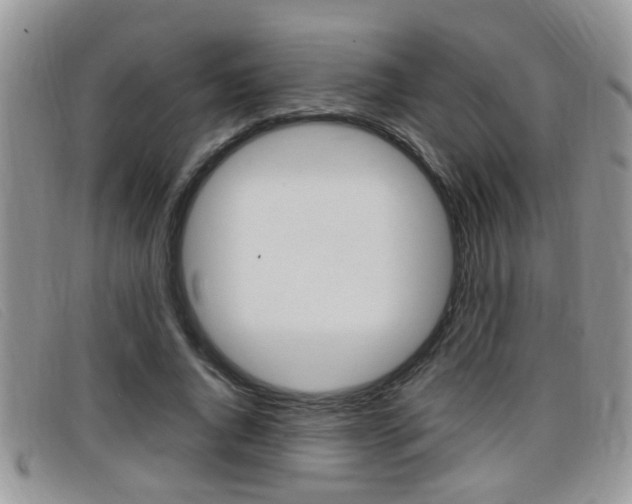 X0000099430736200805090726