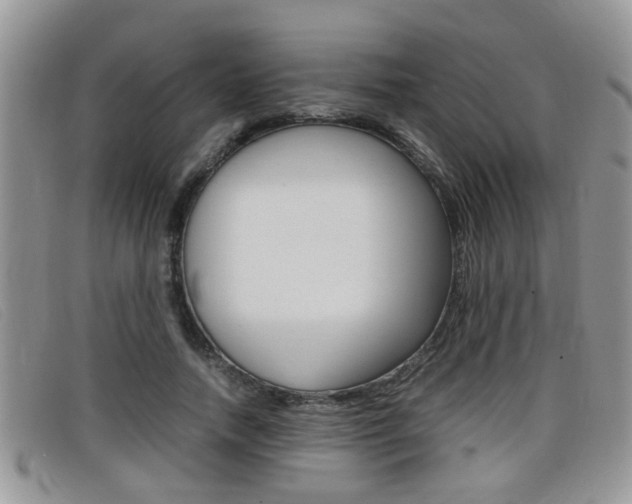 X0000099430738200805090726