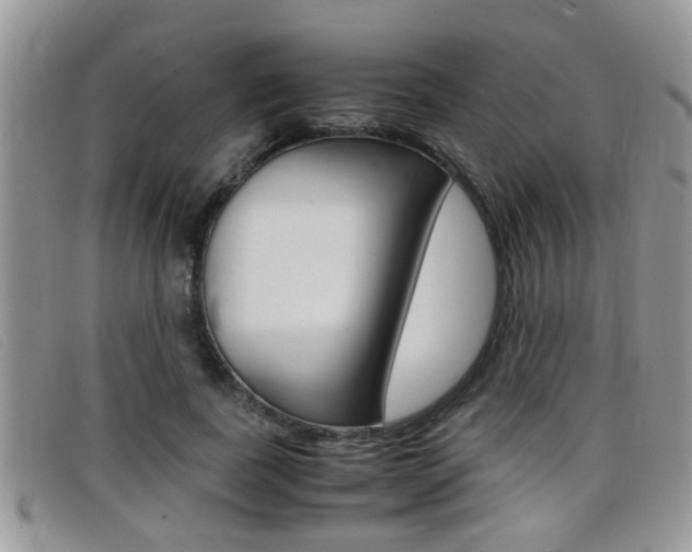 X0000099430739200805090726