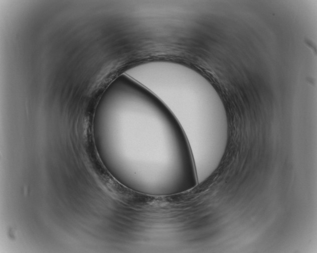 X0000099430742200805090726