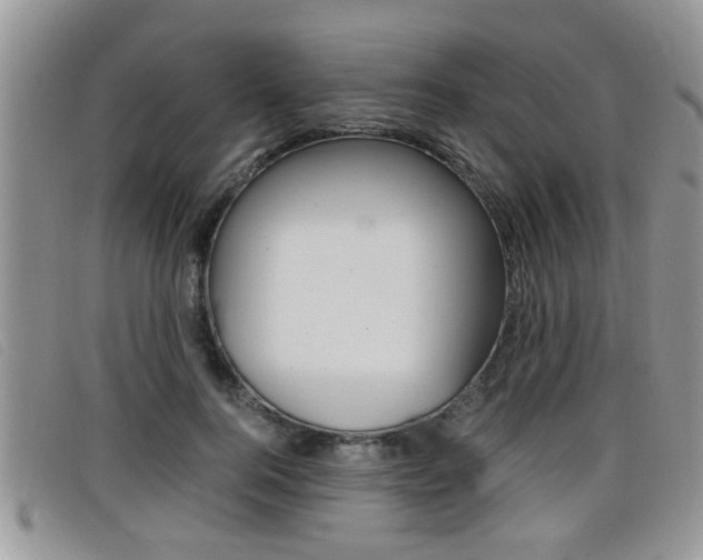 X0000099430744200805090726