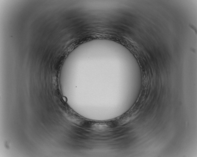 X0000099430749200805090726