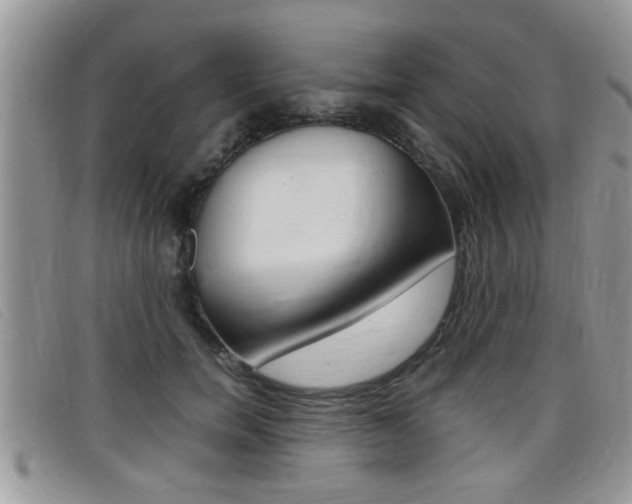 X0000099430750200805090726