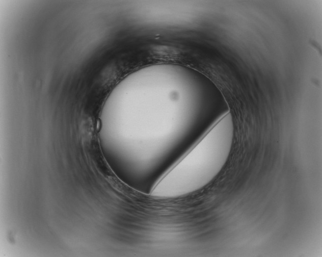 X0000099430752200805090726