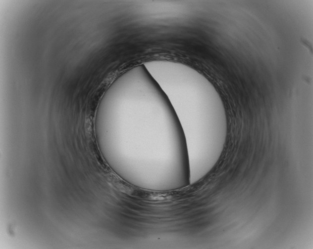 X0000099430753200805090726