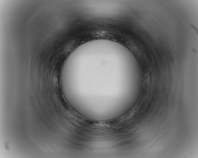 X0000099430754200805090726