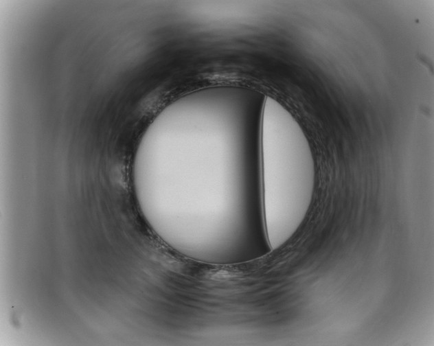 X0000099430755200805090726